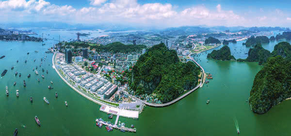 LÝ THUYẾT CUNG CẦU TỚI SỰ HÌNH THÀNH VÀ PHÁT TRIỂN CỦA KIỂM TOÁN MÔI TRƯỜNG